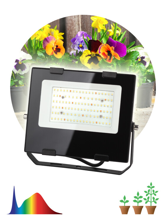 Прожектор Fito (LED) 50Вт 100 мкмоль/с 440:660нм 4000К цветение, плодонош. IP65 ЭРА